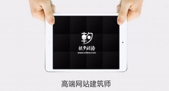 高端品牌網(wǎng)站與系統(tǒng)軟件開(kāi)發(fā)定制解決方案